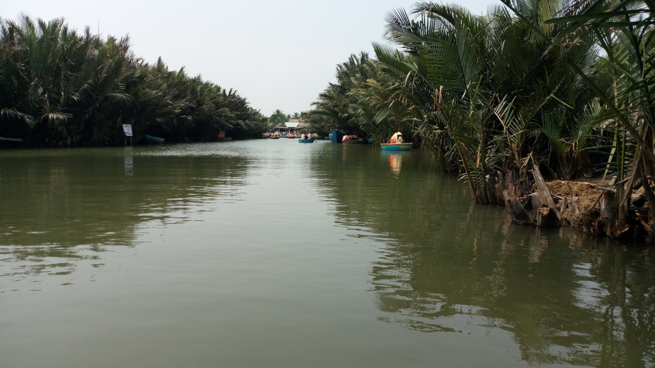 Beautiful road of Bay Mau Coconut Forest